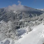 Bergheimat 4* Muhlbach Am Hochkonig