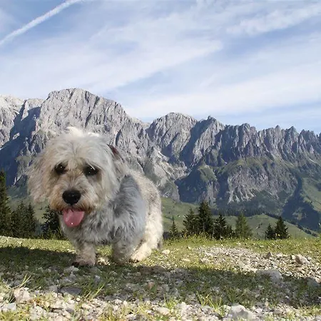 Bergheimat 호텔 Mühlbach am Hochkönig