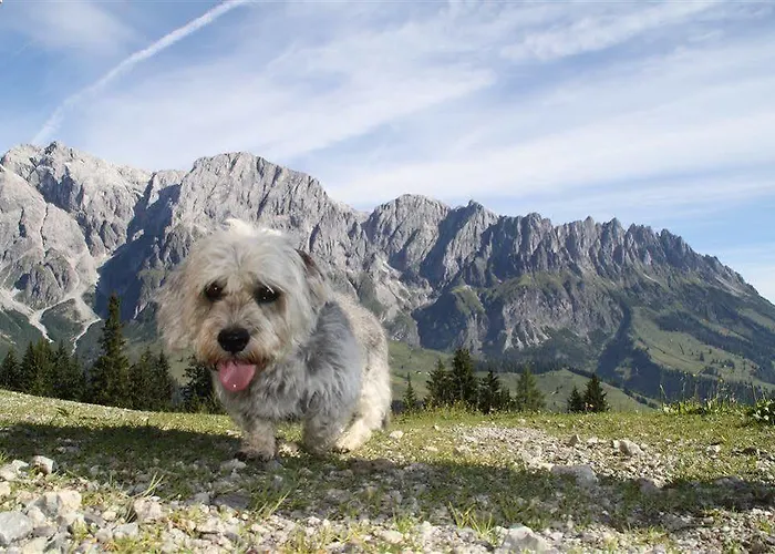 Bergheimat Hotel Mühlbach am Hochkönig